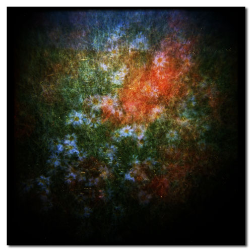 coquelicot...