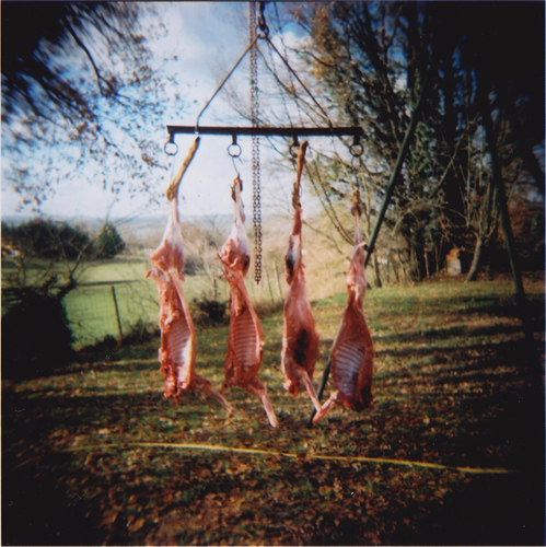 Carcasses