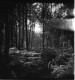 woca/ Hp 5