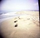 La mditerrane prs de La Franqui.
Des plages encores sauvages o j'ai retrouv les souvenirs d'enfance et la nature avec un N. 
Holga 120 FN,60mm,fuji 160 pro
