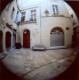 holga + fisheye.