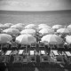 Holga GN - Kodak BW400 CN