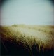 bord de mer, Holga, cheap photography
