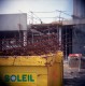Holga Kodak Portra 400 NC