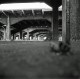 Lubitel 2 + Kodak 400 Tmax