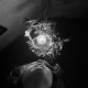 // Pentacon 6
// 2008