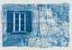 Cyanotype